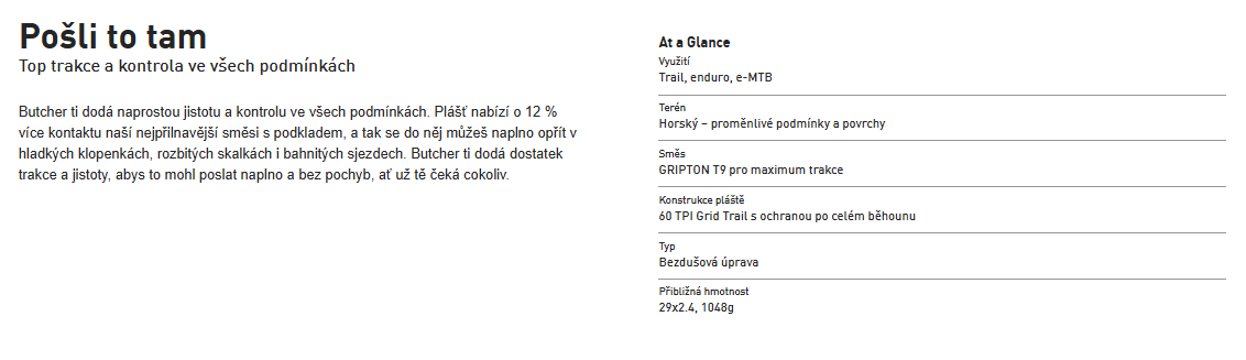 Snímek obrazovky 2025-03-21 160151